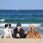 Moon Jeong-hee Instagram - #마누 #manu #jane #ruy #바닷가 #산책 #함께 #건강 #웃어요 #예쁜날씨 #맑은하늘 #파란색 파란색하늘 파란색바다 파란색웃음 지구에서 파란색은 행복의 색인것같아요 @justinkim1978 @chris_kim1979 @manu_goldenretriever 파란색 사진고마워요♡♡♡♡♡