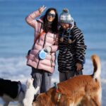 Moon Jeong-hee Instagram - #마누 #manu #christmas #friends #holy #holiday #jane #ruy #peace #dogs 친구들과 함께하는 귀한 성탄절 입니다! 아이들 때문에 우당탕당 정신없지만, 가만히 이시간들이 지나갑니다... 예수님이 주신 귀한 선물들을 잘 누리겠습니다. 참으로 감사합니다... 모두 메리크리스마스 Merry Christmas all of you ♡♡♡ @manu_goldenretriever @joli_talon @foto.camper @justinkim1978 @chris_kim1979 @russell_jowoo