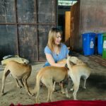 Munmun Dutta Instagram - Some ‘D’ company for myself in between takes 🎥 😍 🤗 🐶 🐕 . . . #munmundutta #picturesoftheday #behindthescenes #tmkoc #onsetlife #doglove #puppygram #inbetweentakes #inbetweenshots Dadasaheb Phalke Chitranagari FILMCITY Goregaon East Mumbai
