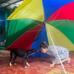 Munmun Dutta Instagram - Some ‘D’ company for myself in between takes 🎥 😍 🤗 🐶 🐕 . . . #munmundutta #picturesoftheday #behindthescenes #tmkoc #onsetlife #doglove #puppygram #inbetweentakes #inbetweenshots Dadasaheb Phalke Chitranagari FILMCITY Goregaon East Mumbai