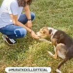 Murat Kekilli Instagram - Sevgi de tıpkı müzik gibi bulaşıcıdır.😊🤘🎸