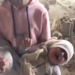 Nadine Njeim Instagram - صرختها لهل الطفلة وصلت للسما و وجع الاطفال عند الله ما بينتسى و حق كل طفل استشهد رح يندفع على الارض ورح يصير فيكم ابشع و افظع و اكبر من يلي عملتوا ! والعالم رح يشهد على نهايتكم و دعائنا عليكم كل يوم كل يوم رح يخليكم تتعذبوا وانتوا عايشين لدرجة تتمنوا الموت ! بتمنى من كل انسان عايش على هل الارض يدعي عليهم والله ما يرحمهم يا شعب الشيطان المختار ! يا شياطين الارض. الله ياخدكم يا صهاينة #غزة #فلسطين #freepalestine 🙏🏼🇵🇸