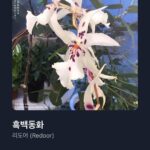 Nam Kyu-hee Instagram - 제일 좋아하는 리도어 컴백 기념으로..! 🎧 우리모두 따뜻한 1월 보내자요.🙂❄️