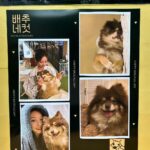 Nam Kyu-hee Instagram - 우아아아~🫶🏻 #혜영 이 커피차다아💛💛💛 #에스라인 화이팅🥰