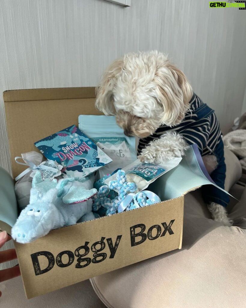 Nana Yamada Instagram - 今月のdoggy box 🐕🤎 今月のテーマは”SNOW DRAGON”🐲❄ おもちゃ2つにジャンプー🛁 フリーズドライ北海道ポテト🍟 粗挽きスナック鶏ささみ🍖 馬アキレス薄延べ🐩 (私のおやつより豪華ではっ🫣？笑) 今月も早速おやつ泥棒でした☺♡ 動画もみてね〜〜🙇🏻‍♀ #doggybox #ドギボ #PR