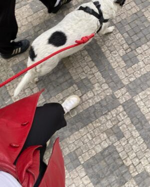 Natálie Halouzková Instagram - { spring essentials } *kyti, ženy, jídlo*