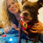 Natalie Stovall Instagram - Today is #RememberMeThursday so let’s show everyone we know how beautiful pet adoption is, how incredible the bond with your rescue is and inspire change for pets in need. Join me and post your adopted pets everywhere on social media to educate and empower others to #ShineALight and adopt an orphan pet today. Show the world your awesome rescue pet, today! #BradyBelle #BostonTerrierMix
