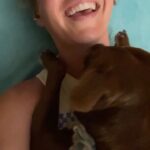 Natalie Stovall Instagram - Every time I lay down for an ab workout 😂😂😂 It’s quite the encouragement… . . #BradyBelle #bostonterrierlove #bostonterriermutt #rescuedog #workoutmotivation