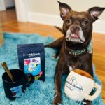 Natalie Stovall Instagram - Brady Belle gets SO excited when she gets a @groundsandhounds box that she immediately starts ripping open her toys 🤣🤣 Mamma 🙋🏼‍♀️ gets excited cause I immediately rip open the coffee ☕️ Y’all this extra caffeinated The Dog Sleeps In My Bed brew is DELICIOUS and def has an extra kick. 20% of all G&H profits help fund rescue initiatives!!! So you know it’s a fav brand in our house. 🤍 I like when coffee can fuel a greater purpose. #BradyBelle #rescuepup #bostonterriermutt