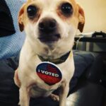 Natalya Rudakova Instagram - I Voted