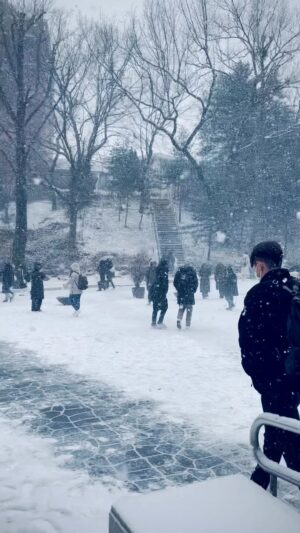Nathaniel Ho Instagram - My thoughts on snow. With @liljohnnygang.
Seriously though, stay safe out there y’alls.

#koreavlog #nathokorea