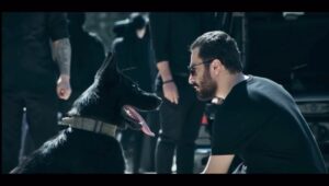 Navid Mohammadzadeh Instagram - 🖤 

هرکی اذیتت کرد
پارش کن.

@frog_series @houman_seyedi
@Regna_germanshepherd