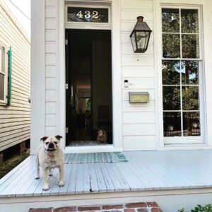 Necar Zadegan Instagram - We had to say goodbye to our beloved Charlie this week. And it was tough. Charlie, my sweet Charlie, I will miss you so. Here are some photos of when he was with us, always, wherever we were. Charlie, an absolute gentleman and the truest friend, thank you for everything, your place will forever be empty here. ❤️❤️❤️ @imarminamiri