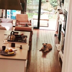Necar Zadegan Instagram - We had to say goodbye to our beloved Charlie this week. And it was tough. Charlie, my sweet Charlie, I will miss you so. Here are some photos of when he was with us, always, wherever we were. Charlie, an absolute gentleman and the truest friend, thank you for everything, your place will forever be empty here. ❤️❤️❤️ @imarminamiri