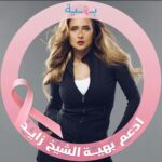 Nelly Karim Instagram – @baheyafoundation  always proud of you God bless you @laila.salem.507 ❤️#بهية #مصر
