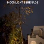 Nia Dinata Instagram - Gently reminding you all to enjoy the moonlight serenade🙏🏼 tonight and tomorrow night✨mau cuma dilihat keindahannya, atau diresapi energinya, yang penting dilakukan dengan niat bersyukur pada alam semesta😇✨ #fullmoonritual #moonlightserenade