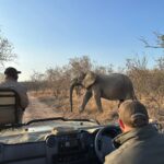 Nia Sioux Instagram - get in loser we’re going on a safari #ABDinSouthAfrica #hosted Kapama Private Game Reserve