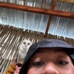 Nia Sioux Instagram - South African summer #hosted #ABDinSouthAfrica @adventuresbydisney Cape Town, South Africa