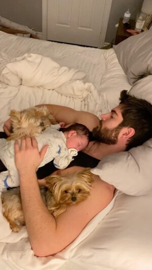 Nick Bateman Instagram - Early Morning with Theo and the Fur Monkeys 💤