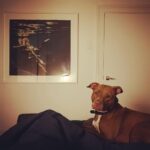 Nicole da Silva Instagram - Pretty As A Picture