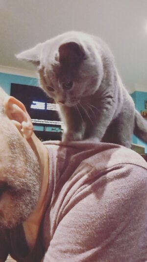 Nima Akbarpour Instagram - My personal meawsaseur