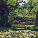 Nima Akbarpour Instagram - در سایه آرامش Golders Hill Park
