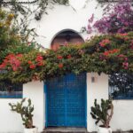 Nima Akbarpour Instagram - #Tunisia #Tunis #تونس Sidi Bou Saïd - سيدي بوسعيد