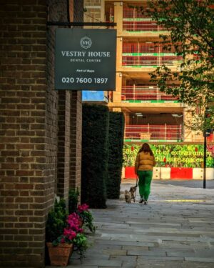 Nima Akbarpour Instagram - Chasing the sunbeams of #spring on a gorgeous afternoon in #London.
A young lady and her furry companion marching in the warm sunshine.
#SpringVibes #CityVibes #SpringFeels #DogWalkers #LondonLife