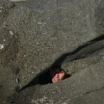 Noah Beck Instagram - “what do u live under a ROCK???”