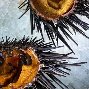 Nobi Nakanishi Instagram - What represents our local waters better than Santa Barbara uni? Happy to debate 😬 #santabarbara #unilove #seaurchin #actorlife #hitmonkey