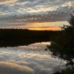 Norah Casey Instagram - Morning has broken here in #velusiacountyflorida and it’s going to be another day of new stuff…. heading south to another world #itslifejimbutnotasweknowit 👽 #softlaunch Victoria 1883