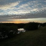 Norah Casey Instagram - Morning has broken here in #velusiacountyflorida and it’s going to be another day of new stuff…. heading south to another world #itslifejimbutnotasweknowit 👽 #softlaunch Victoria 1883