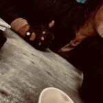 Norman Reedus Instagram - Day 1.letsGO!!❤️ Paris, France