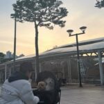 Oh Han-kyul Instagram - . 오랫만에 오빠랑 호수공원 콧바람🐾 . #오한결 #청소년배우오한결 #기분좋은공기냄세🍀☘️ #앵두살구도좋아😍 #추위타는강아지들🐶 #즐거운시간보내기🎶 동백 호수공원