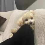 Oh Yeon-seo Instagram - 나 남한준쏜거아닌데 도와줄라한건데😫
