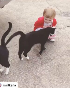 Olive Elise Abercrombie Instagram - Maybe it was always going to be a cat for this one 🐈‍⬛❤️