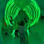 Olive Elise Abercrombie Instagram - Blending in at @meowwolfsantafe {swipe to the end for a flashback of Olive playing the creepy closet piano back in 2021 🥲} Meow Wolf Santa Fe