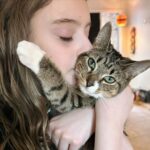 Olive Elise Abercrombie Instagram - Just some more cat spam for your Caturday 🐾 #mistylavenderabercrombie