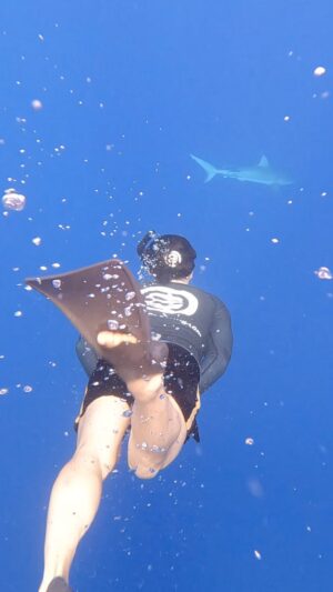Orlando Bloom Instagram - One of the most remarkable experiences to be so close to these curious, misunderstood predators. 🦈 Thank you @oceanramsey and @juansharks @oneoceandiving  we have to STOP 🛑 🚫❌#sharkfinning 
#sharkfishing #savetheocean