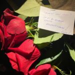 Oya Başar Instagram - #goncavuslateri