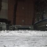 Park Jae-min Instagram - # It is never too cold. 동네에 친하게 지내는 꼬마 아이들이 많은데 첫눈 오는 날의 추억을 남겨주고 싶어서 아무도 없는 새벽 시간에 조그만 선물을 만들어 놓고 왔습니다. 코로나19가 아이들의 소중한 겨울의 추억마저 가져가지는 않았으면 좋겠네요. 4시간 반동안 조그만 눈 덩이에서 시작해서 겨우 동틀 때 즈음에 곰 한 마리가 나왔습니다ㅎ As I wanted make some good memories for my neighbor kids, I made a small snow bear after a 4 and a half hour work. Hope Covid-19 really doesn't take the good memories of winter away from the younglings. It all started from this small snow ball. #첫눈 #눈사람 #위베어베어스 #webarebears #snow #snowman