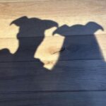 Park Ji-yeon Instagram - 행복한 연말 보내세요🫶 (첫 번째 사진 볼수록 웃기넹..ㅋㅎ)