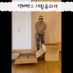 Park Jin-hee Instagram - 2월인데, 이제서야 트리를 정리했어요!…저만 그런거아니죠?!…ㅋㅋ😂 . 정리하다보니, 트리오너먼트 보관할 곳이 마땅히 없어서 집에 모아둔 택배박스로 보관함을 만들어봤어요!😋 . . . #시간아천천히가 #오너먼트정리함 #택배박스재활용