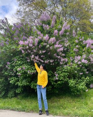 Park Jin-hee Instagram - 얼마전, 바람을 타고 전해지는 라일락향기에 이끌려왔는데 이렇게 큰 라일락 나무를 만났어요😍
.
라일락의 꽃말은 젊은날의
추억이래요!
.
라일락의 향기 오래오래 간직하고 싶네요! 오늘도 좋은 하루 보내세요!
.
.
#라일락 , 오늘 갑자기 #갬성적