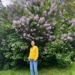 Park Jin-hee Instagram – 얼마전, 바람을 타고 전해지는 라일락향기에 이끌려왔는데 이렇게 큰 라일락 나무를 만났어요😍
.
라일락의 꽃말은 젊은날의
추억이래요!
.
라일락의 향기 오래오래 간직하고 싶네요! 오늘도 좋은 하루 보내세요!
.
.
#라일락 , 오늘 갑자기 #갬성적