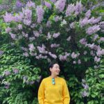 Park Jin-hee Instagram - 얼마전, 바람을 타고 전해지는 라일락향기에 이끌려왔는데 이렇게 큰 라일락 나무를 만났어요😍 . 라일락의 꽃말은 젊은날의 추억이래요! . 라일락의 향기 오래오래 간직하고 싶네요! 오늘도 좋은 하루 보내세요! . . #라일락 , 오늘 갑자기 #갬성적