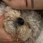 Park Se-mee Instagram - 라떼❤️