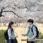 Park Shin-hye Instagram – 봄바람 휘날리며어어어어어어 흐읕날리는 벚꽃잎이이이이이~~