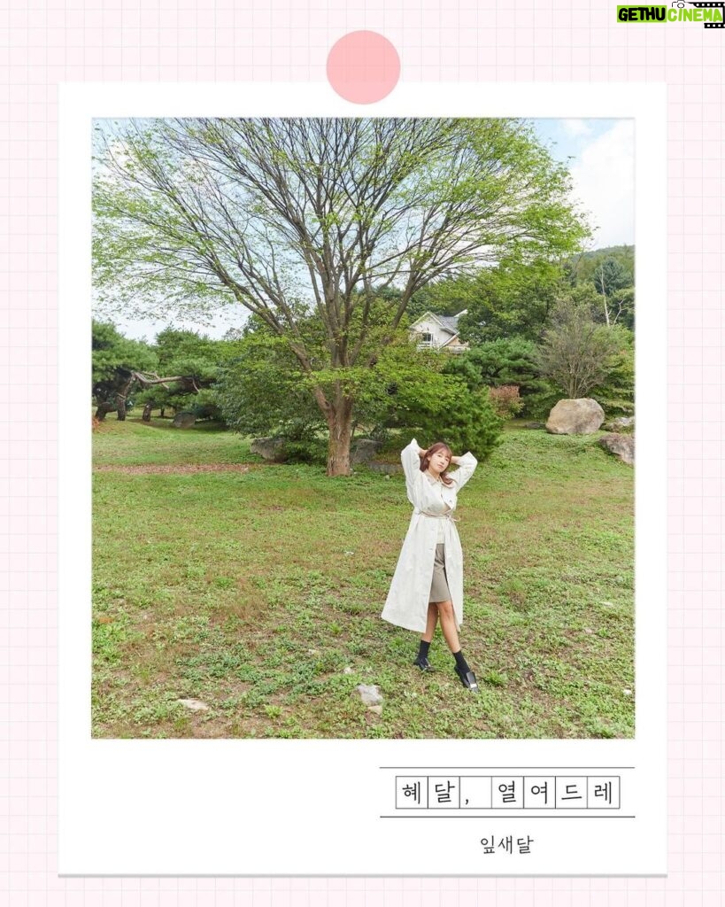 Park Shin-hye Instagram - 혜달, 열여드레 - 잎새달호 따듯한 봄기운아 솟아나자!!!