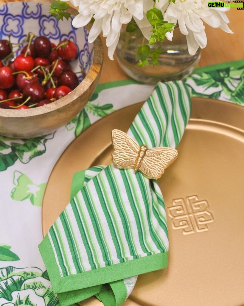 Patricia Heaton Instagram - Shop my new Everyday #PatriciaHeatonHome collections out now! Dress up your table for an outdoor bbq or casual dinner at home with friends and family.  Click the link in bio to shop! @ParkDesign